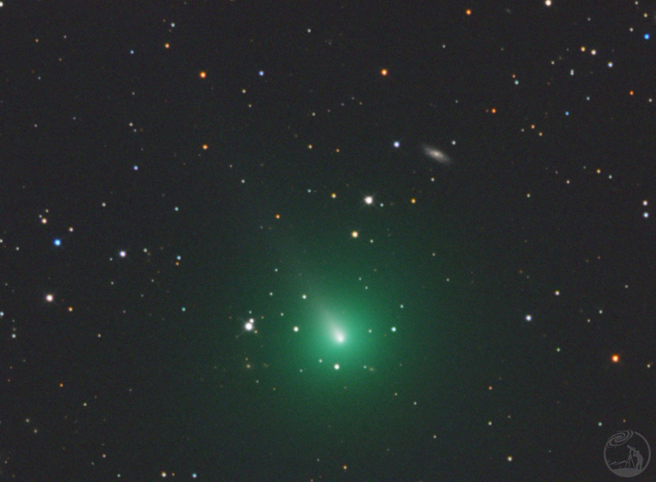 C/2019 Y4 (ATLAS) 