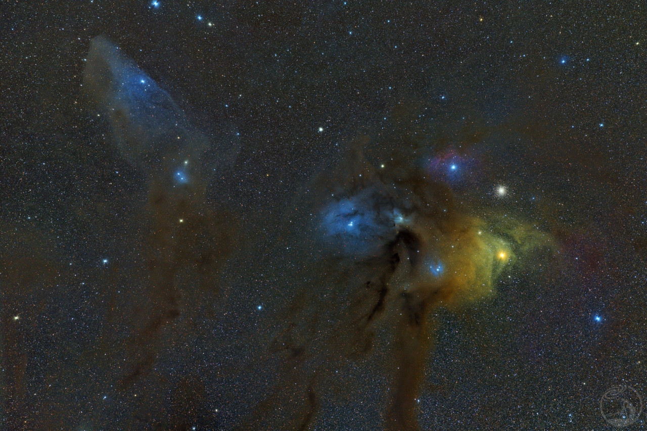 蓝马头与调色盘