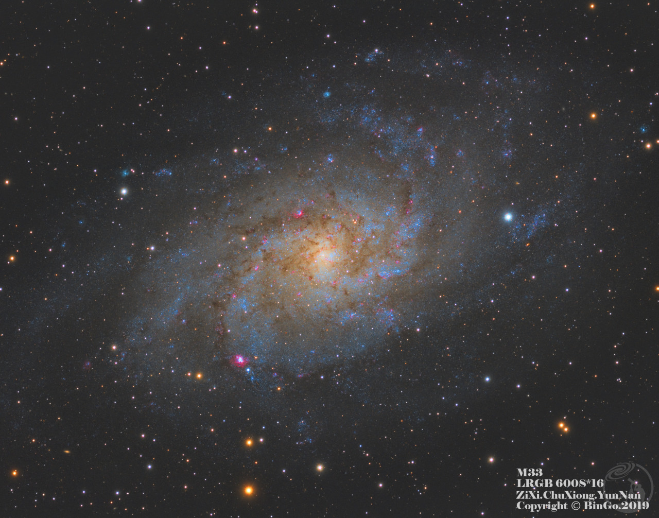 M33
