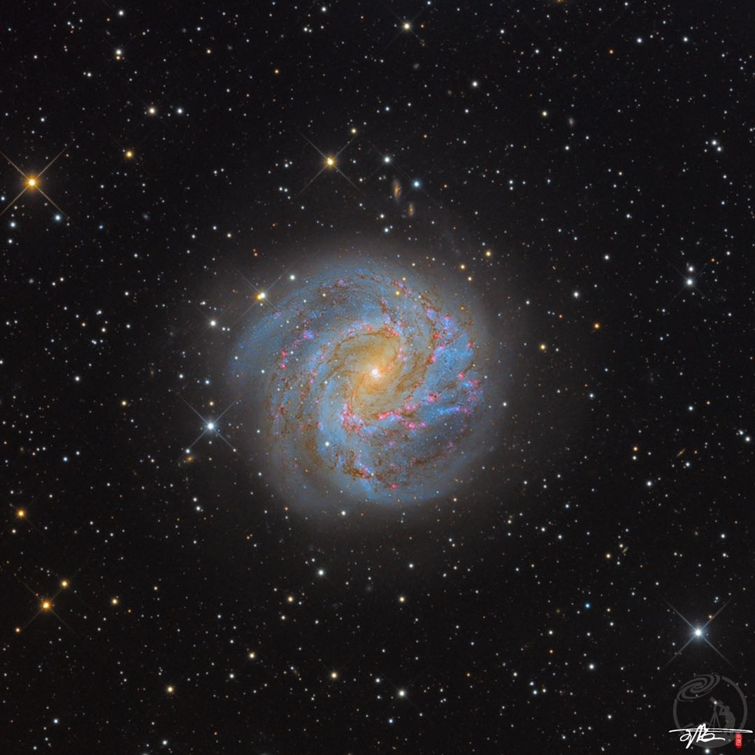 m83