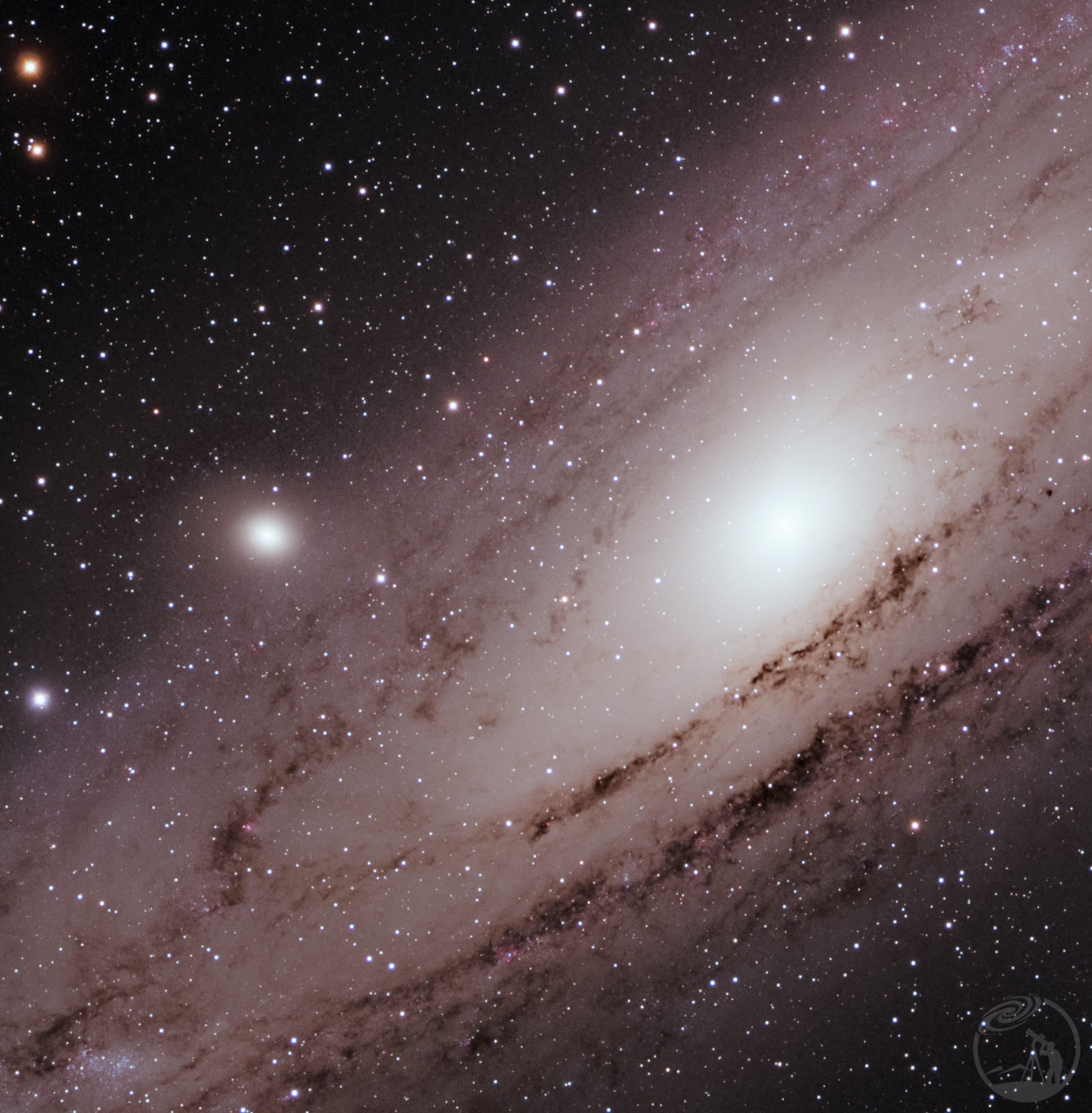 M31