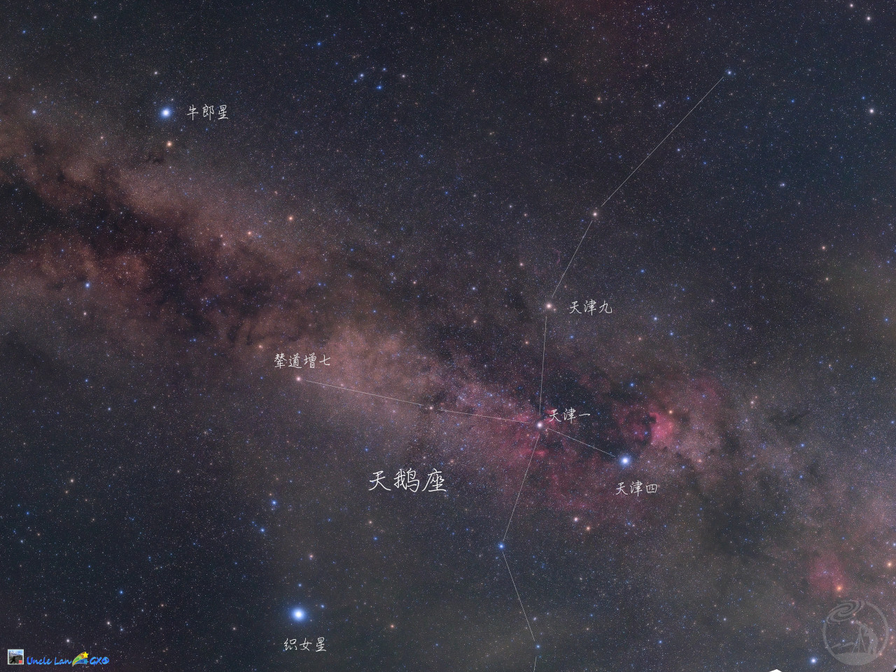 美丽的夏季天鹅座星空