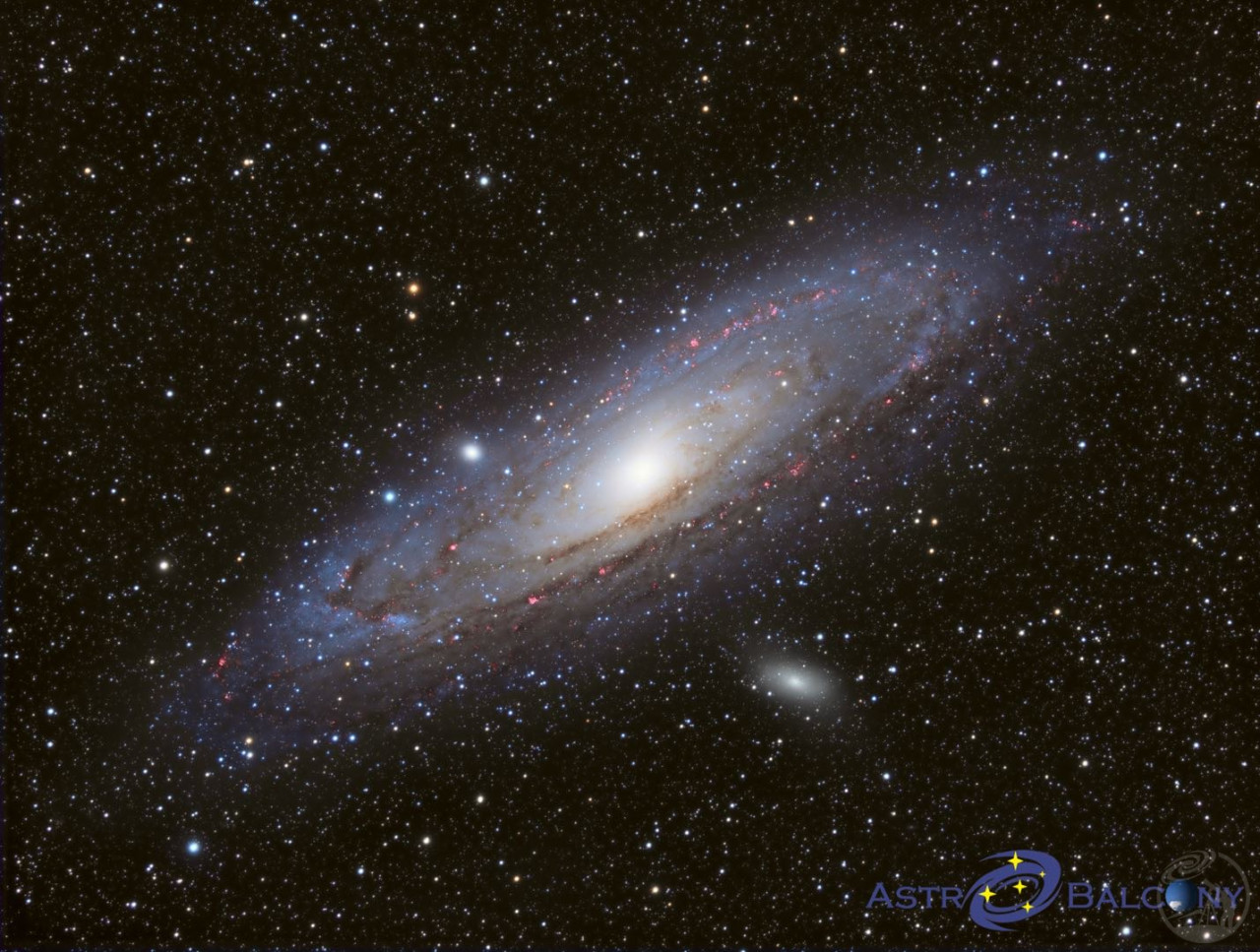 M31