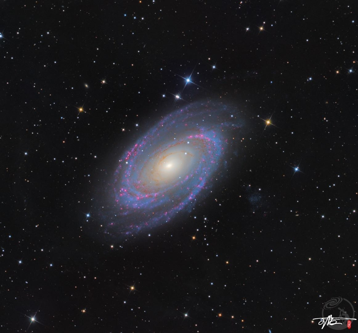 m81