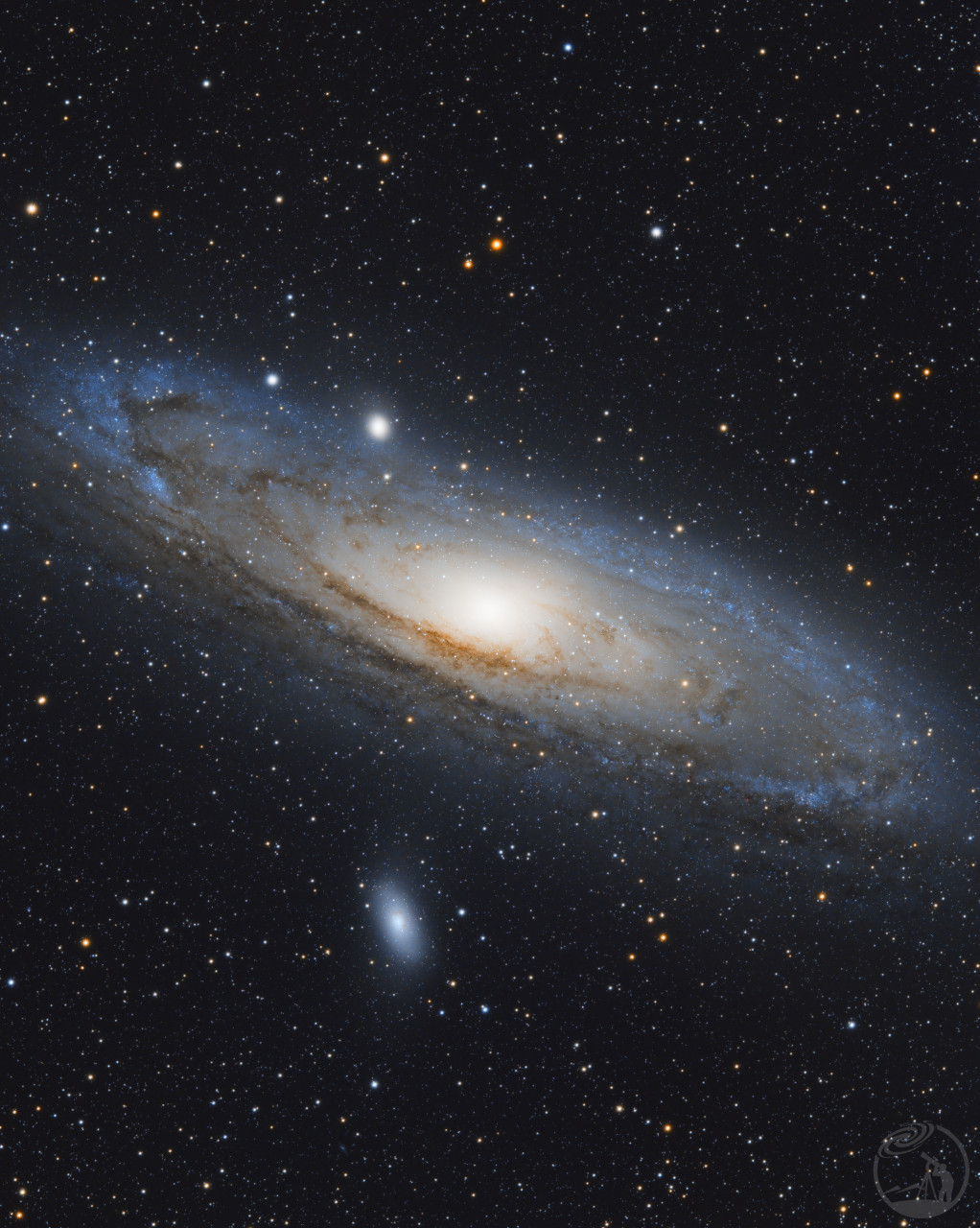 M31