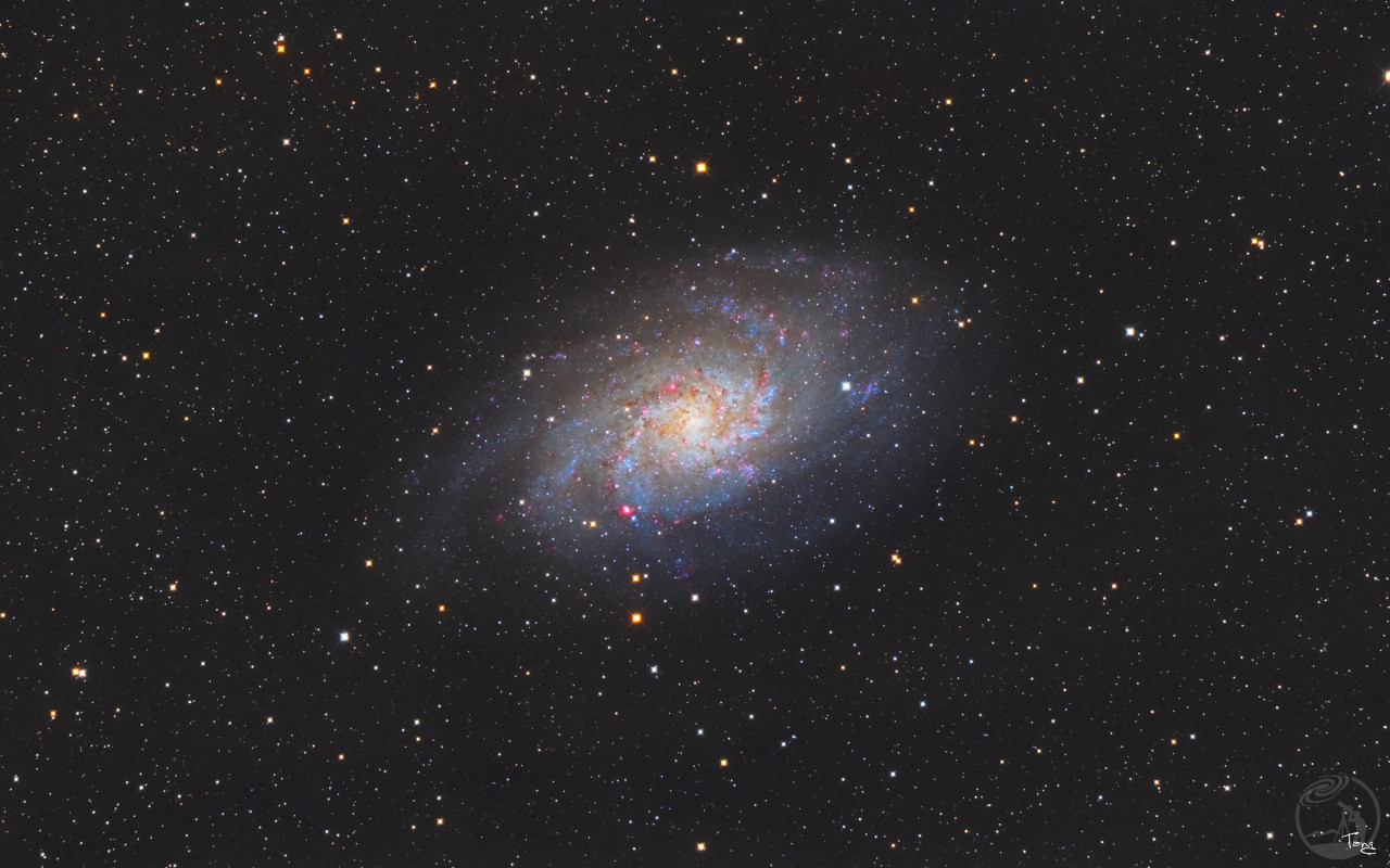 M33