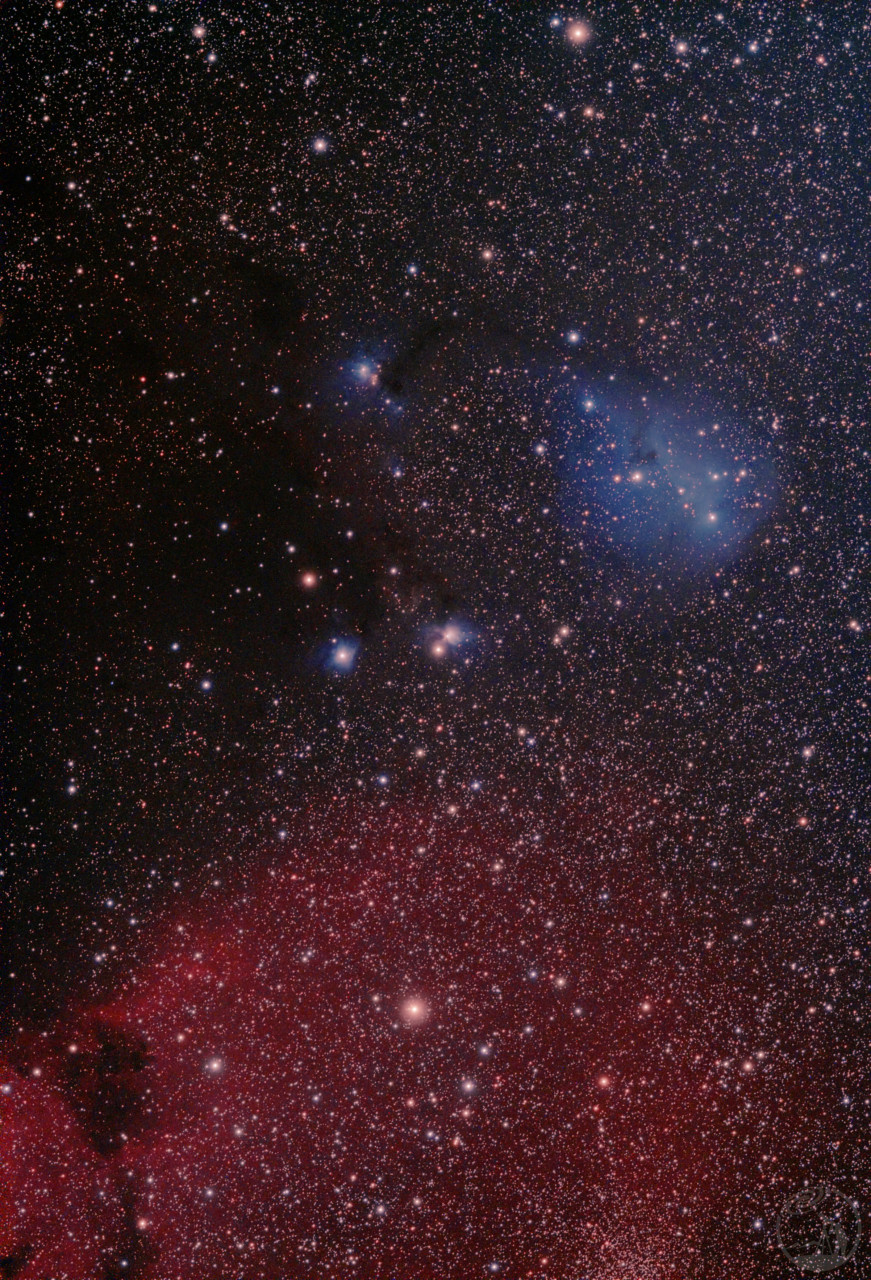 ic2169