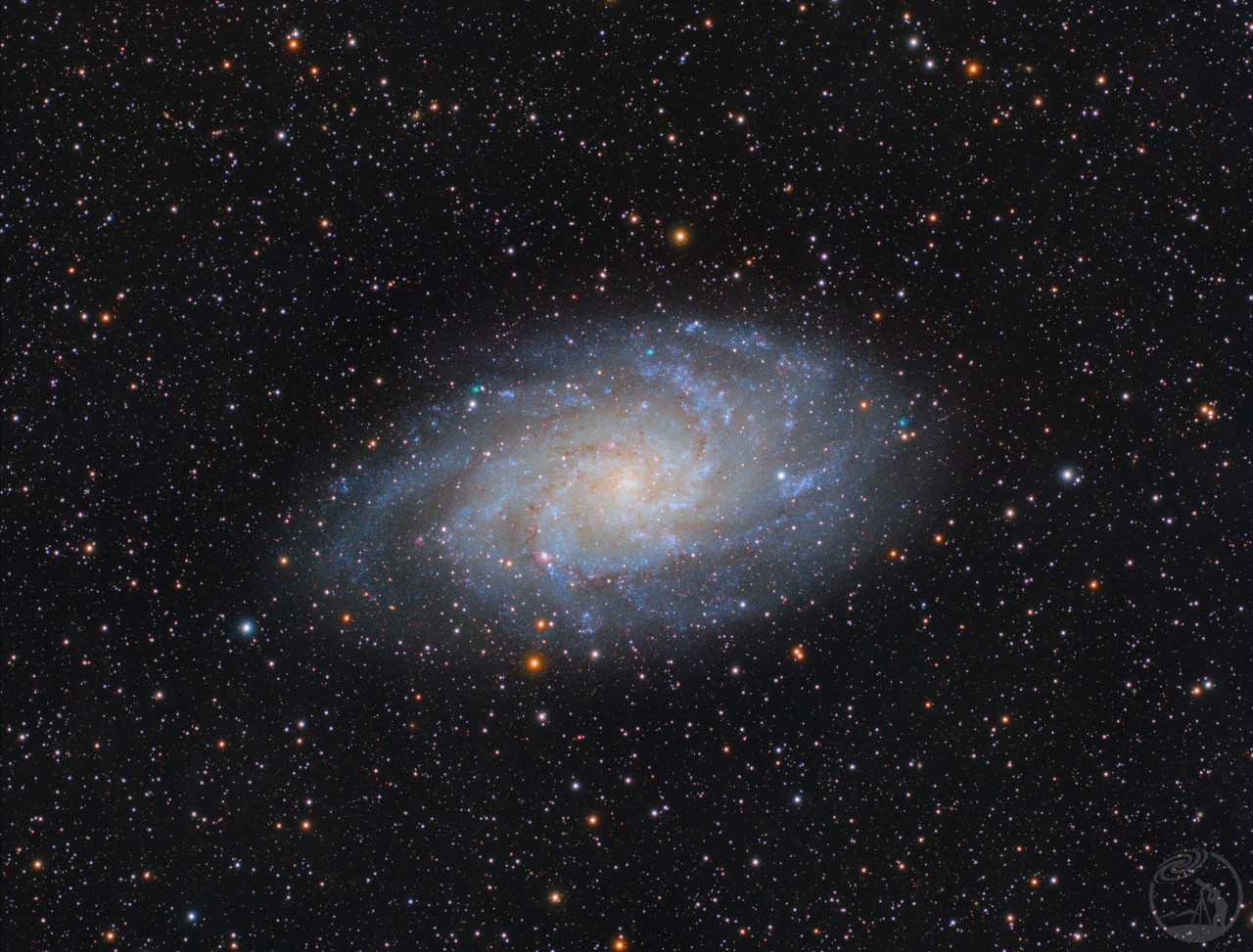 M33