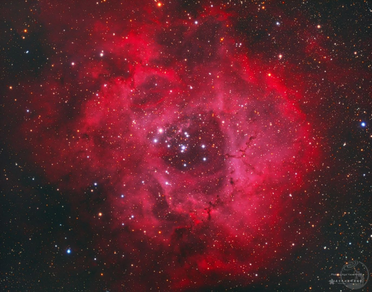 玫瑰星云