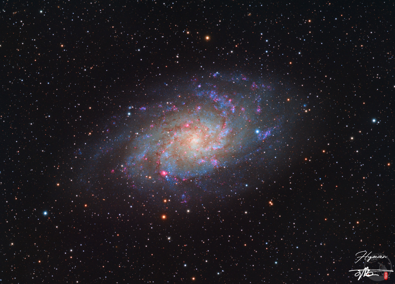 M33