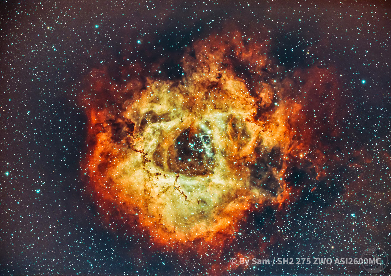 SH2 275 玫瑰星云