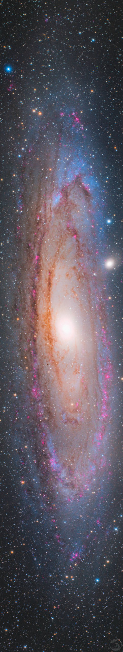 m31