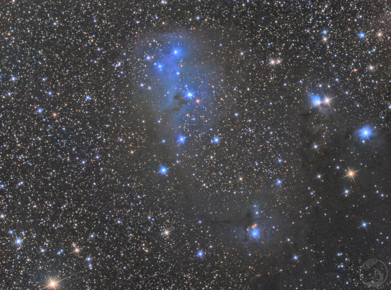 ic2169