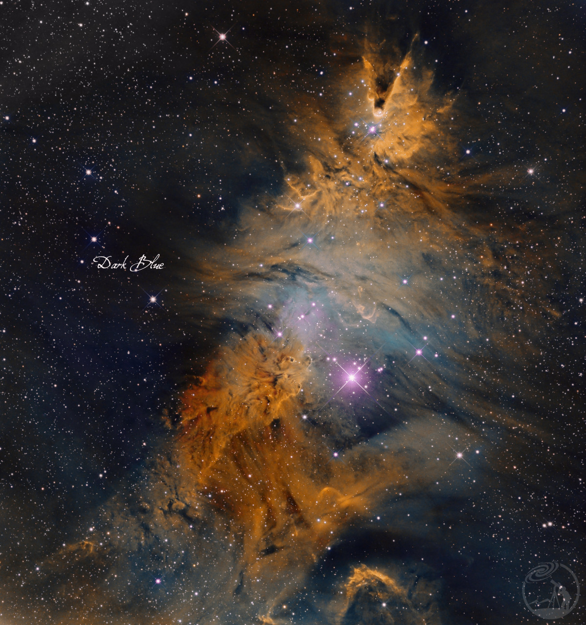 NGC2264 圣诞树