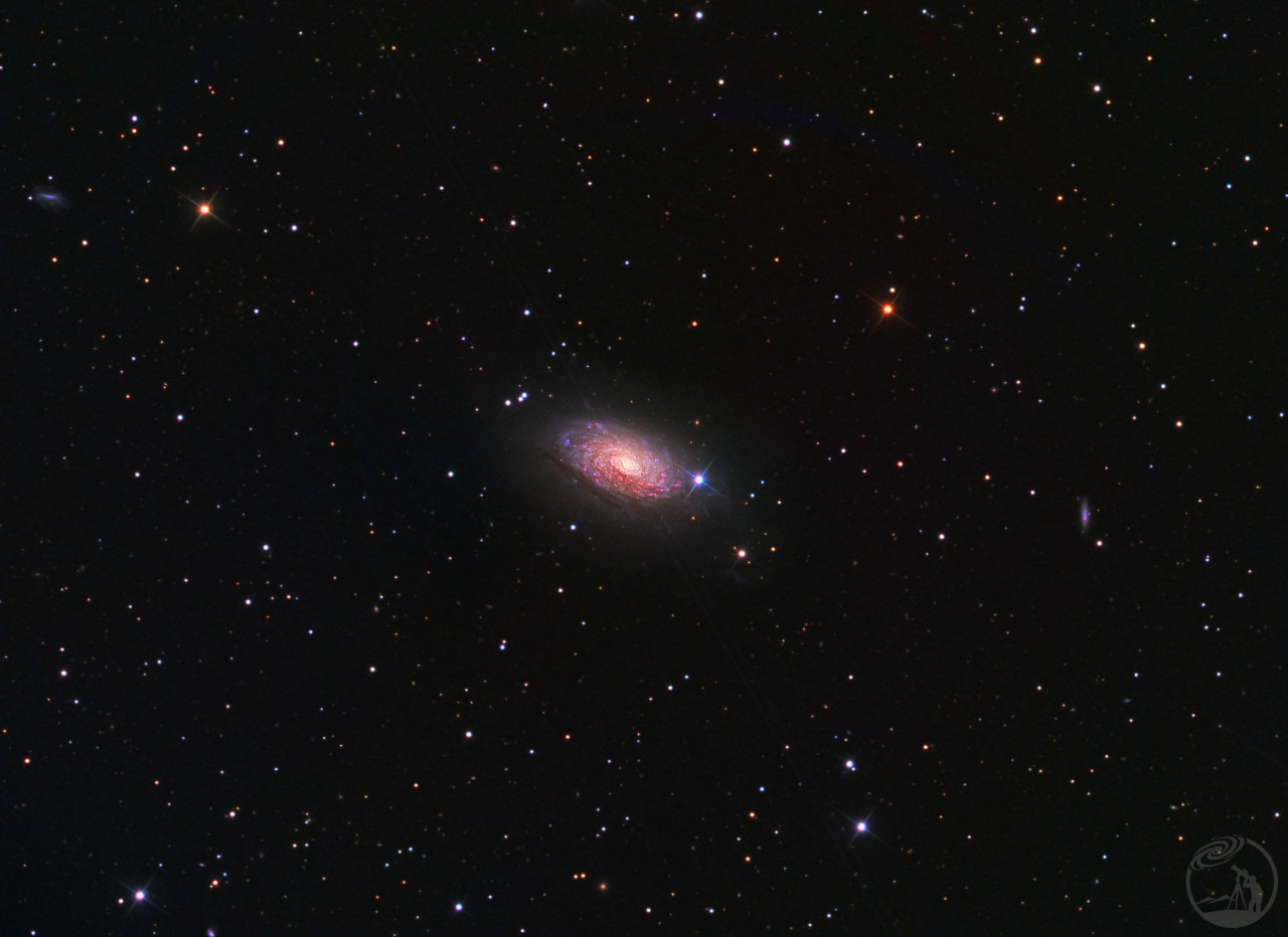 m63