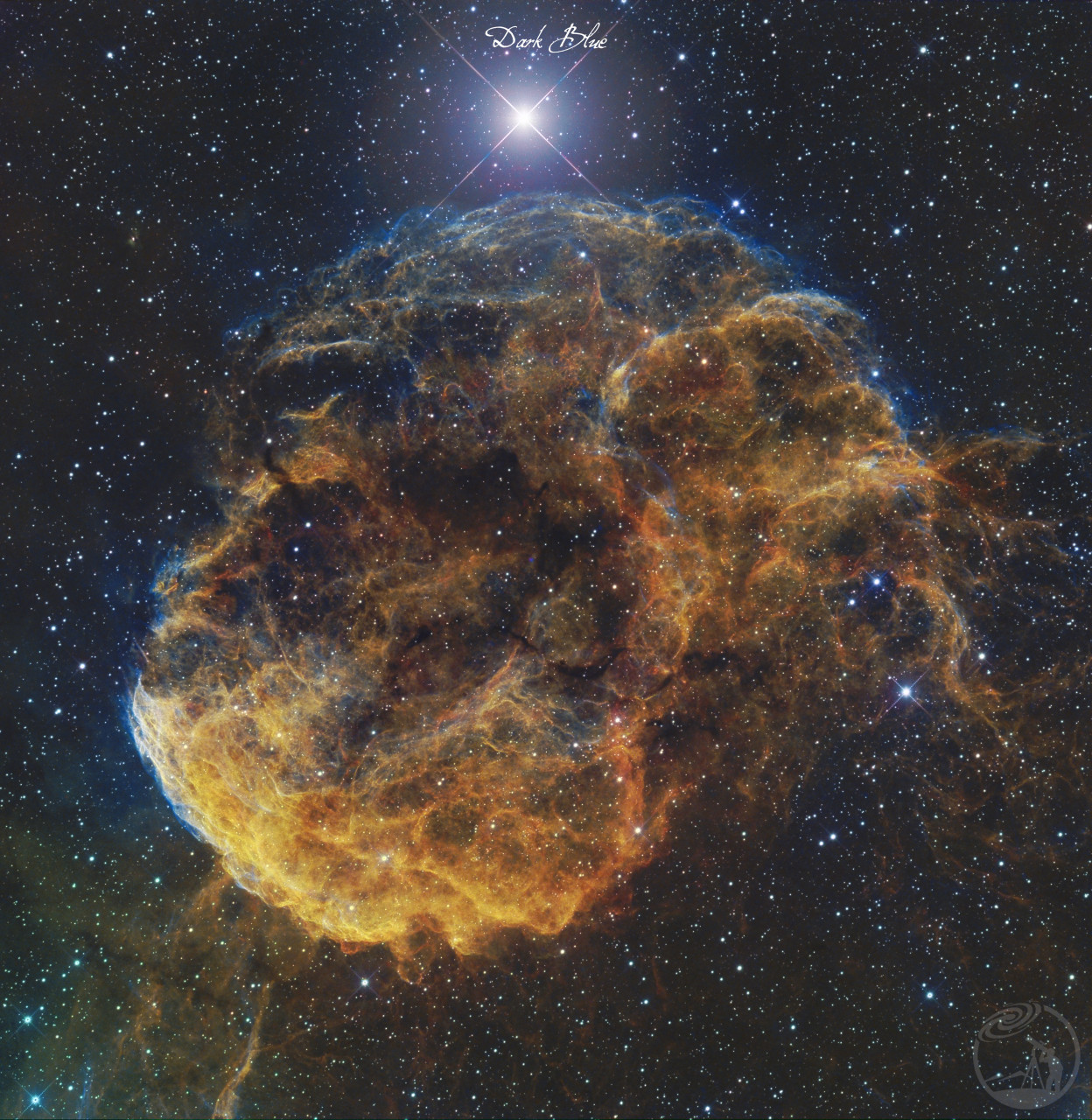 IC443 水母