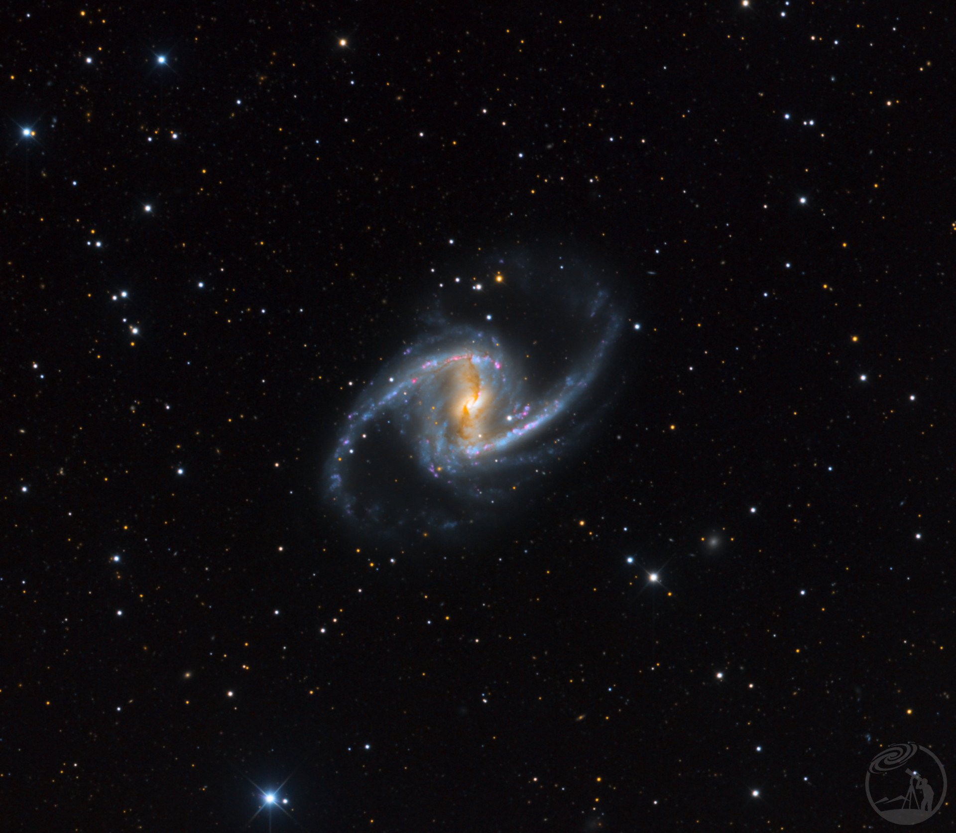 ngc1365