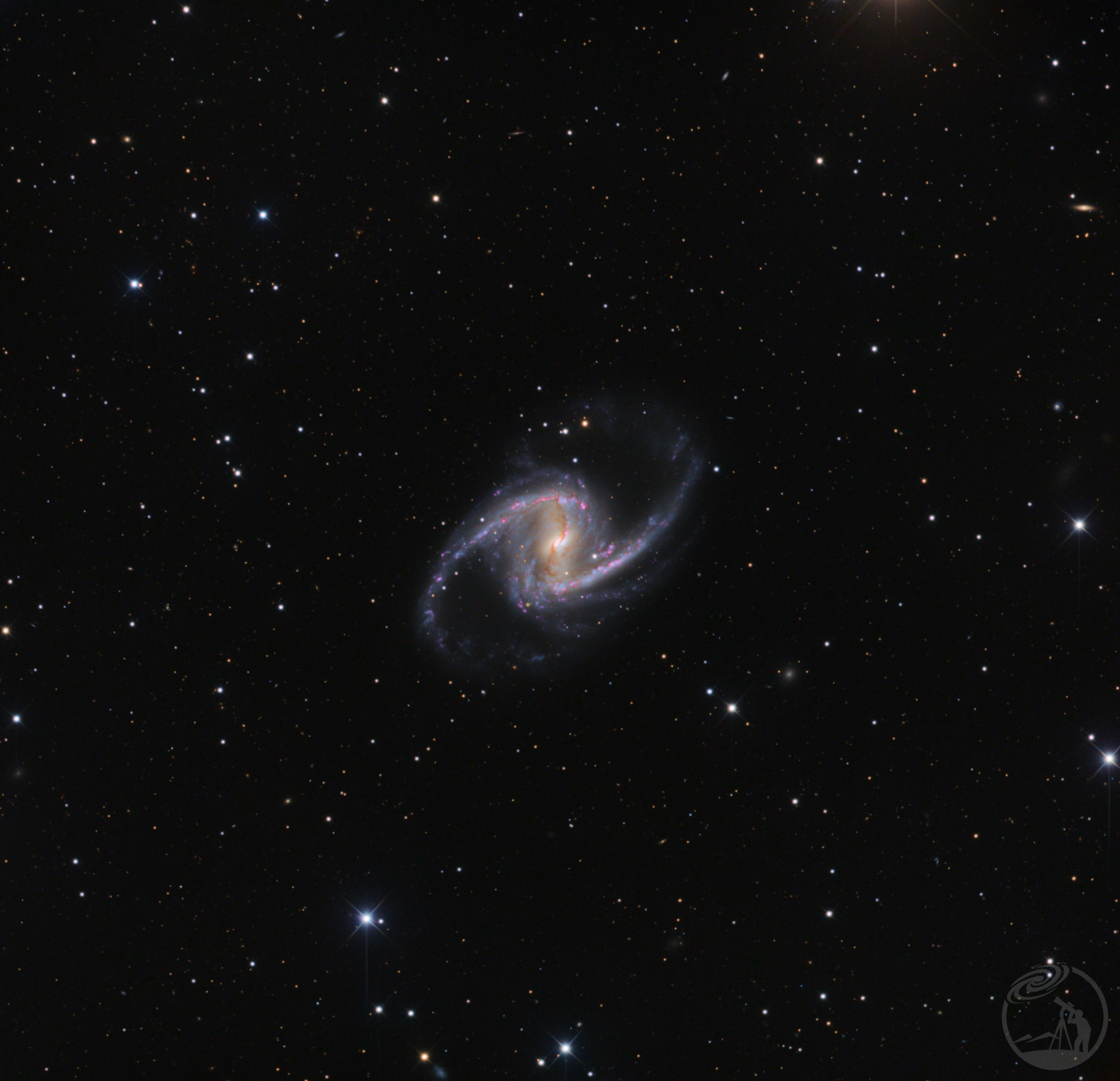 NGC1365