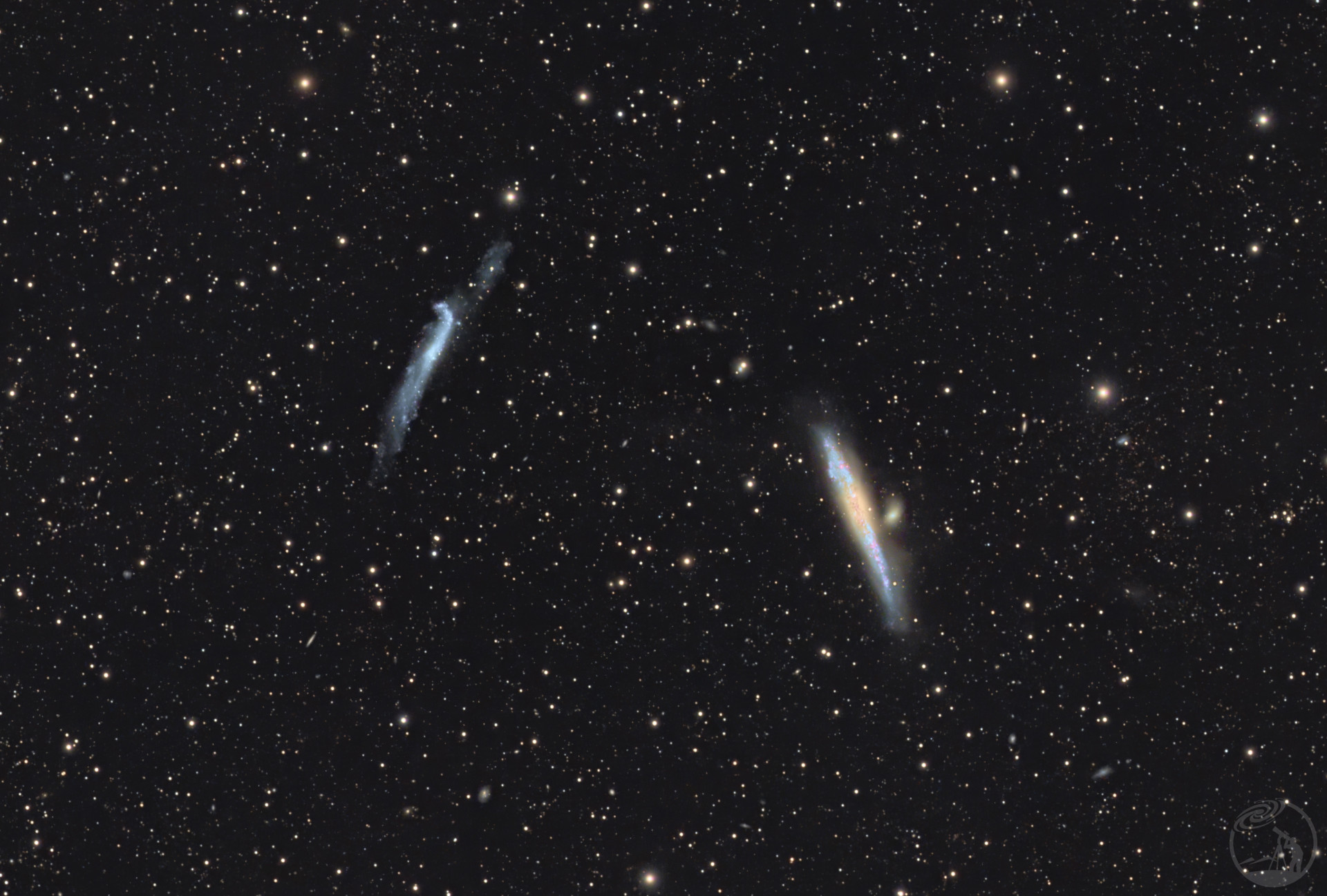 NGC4656曲棍球星系/NGC4631鲸鱼星系