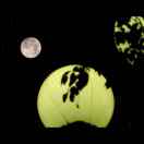 忠星捧月～邓忠