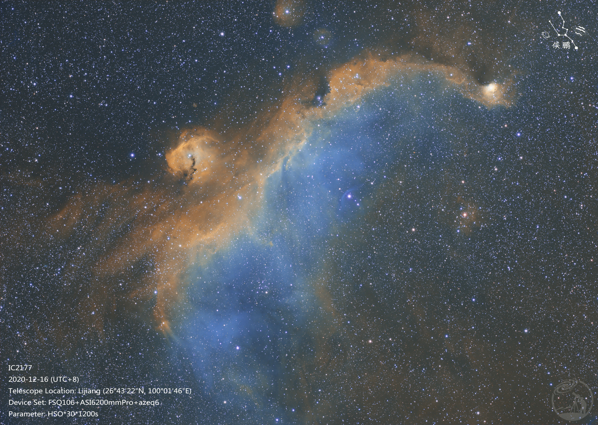IC2177
