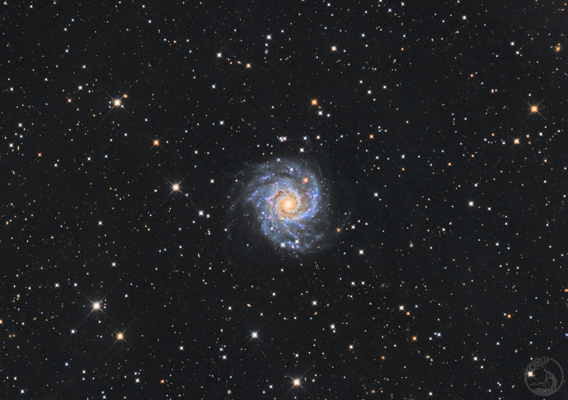 M74