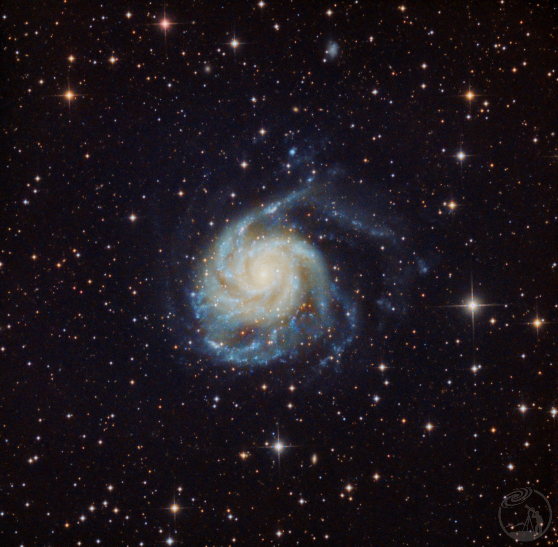 M101