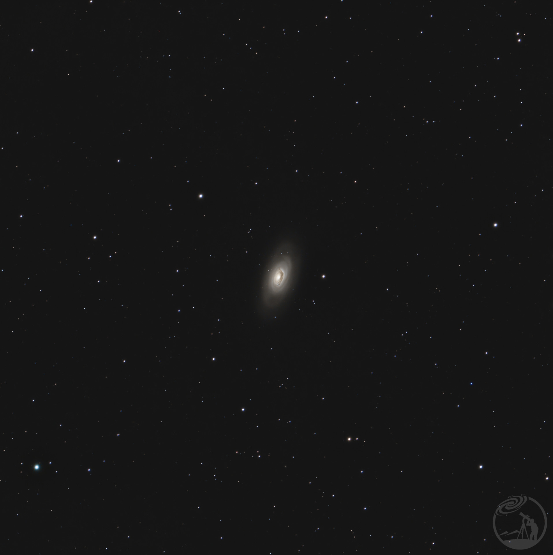 m64