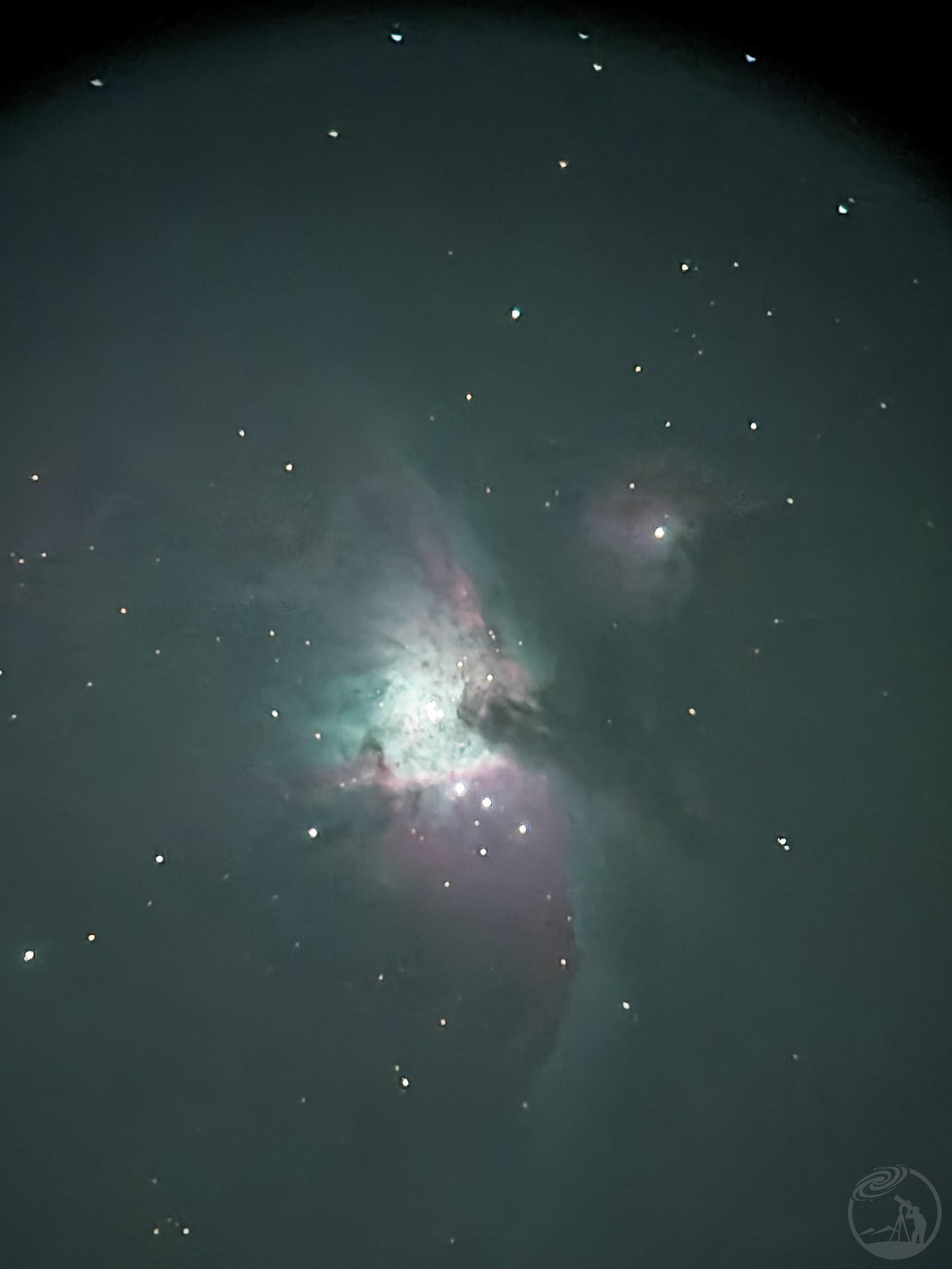 M42