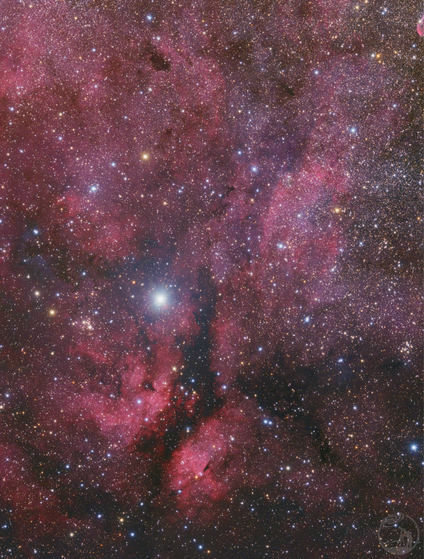 IC1318