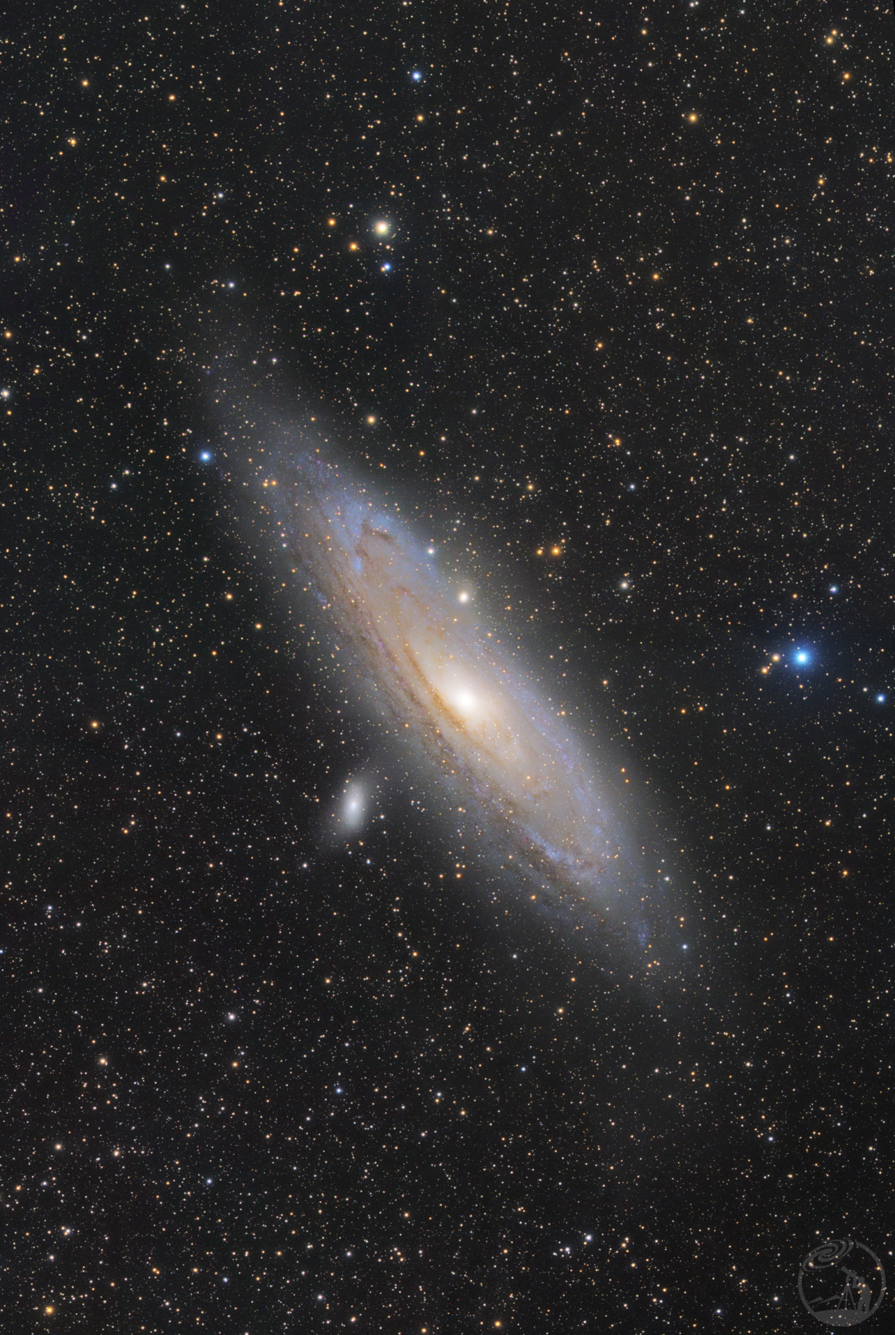 M31