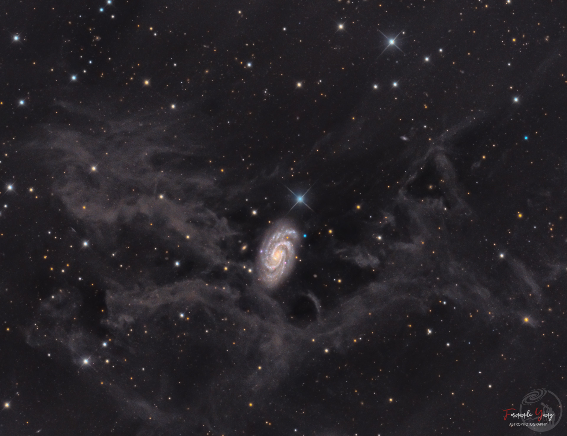 躲在星尘后：NGC 918
