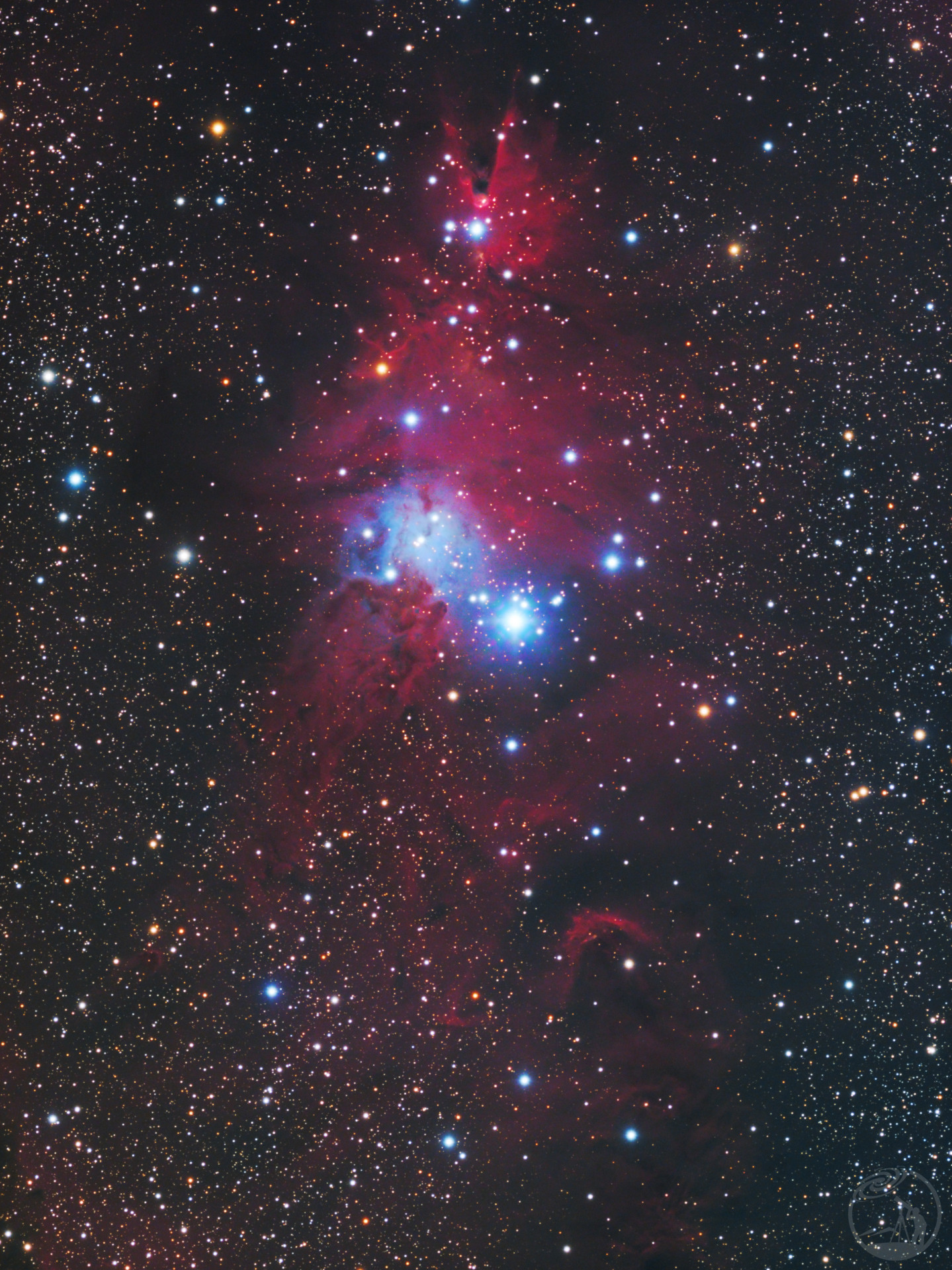 NGC2264圣诞树星云