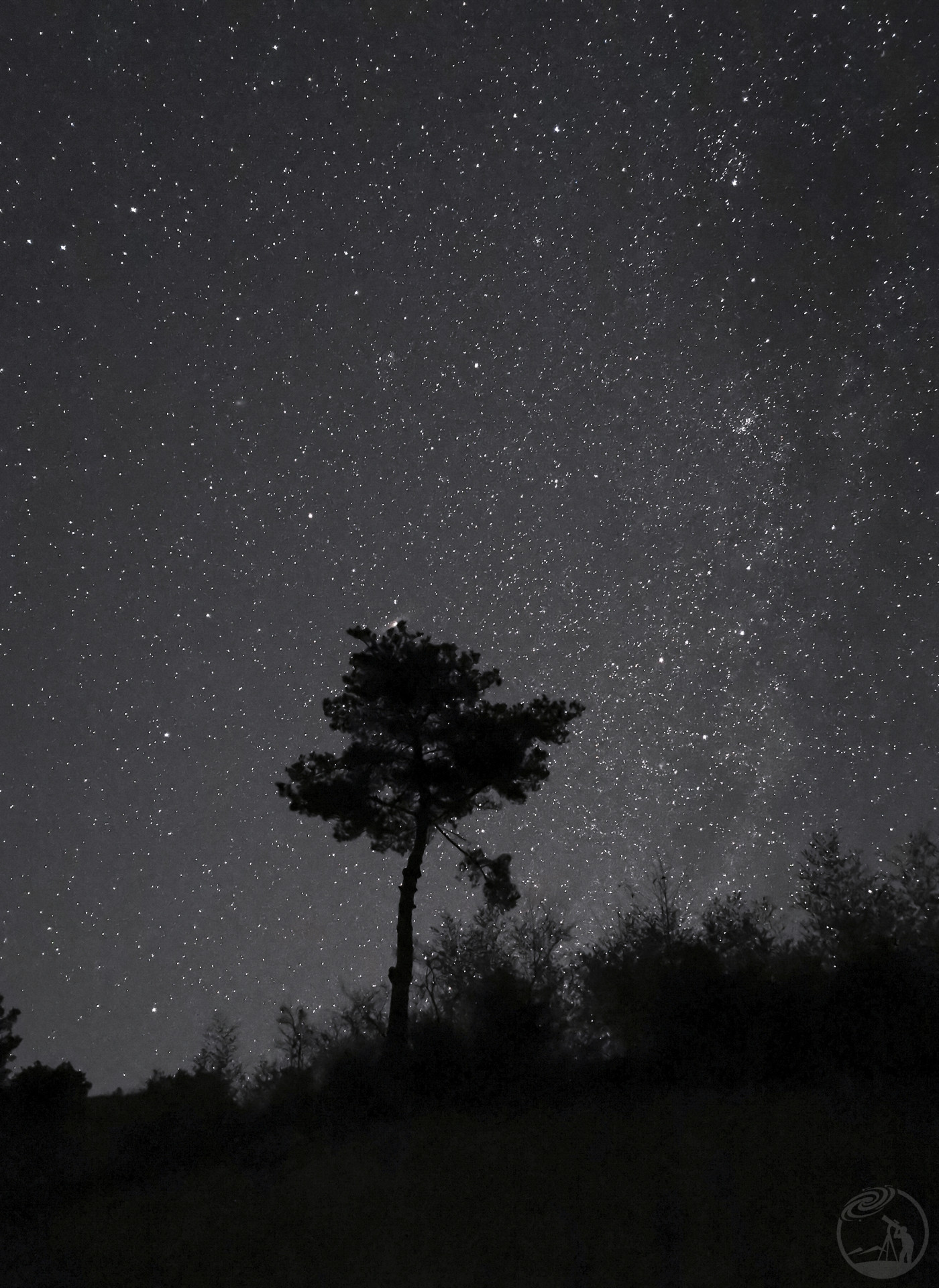 冬季星空下的神树