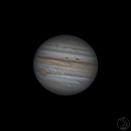 入坑第一张大红斑