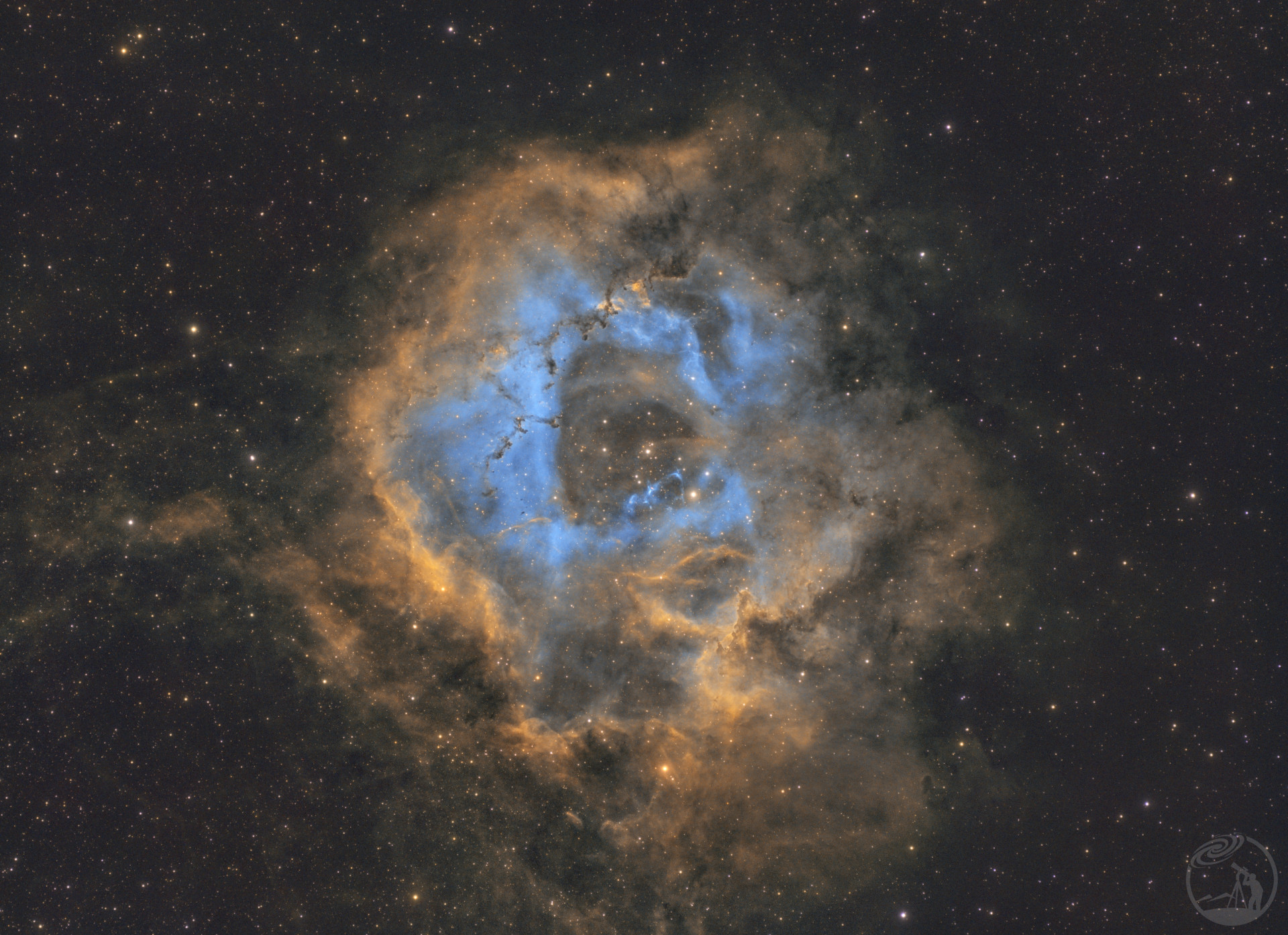 玫瑰NGC2237