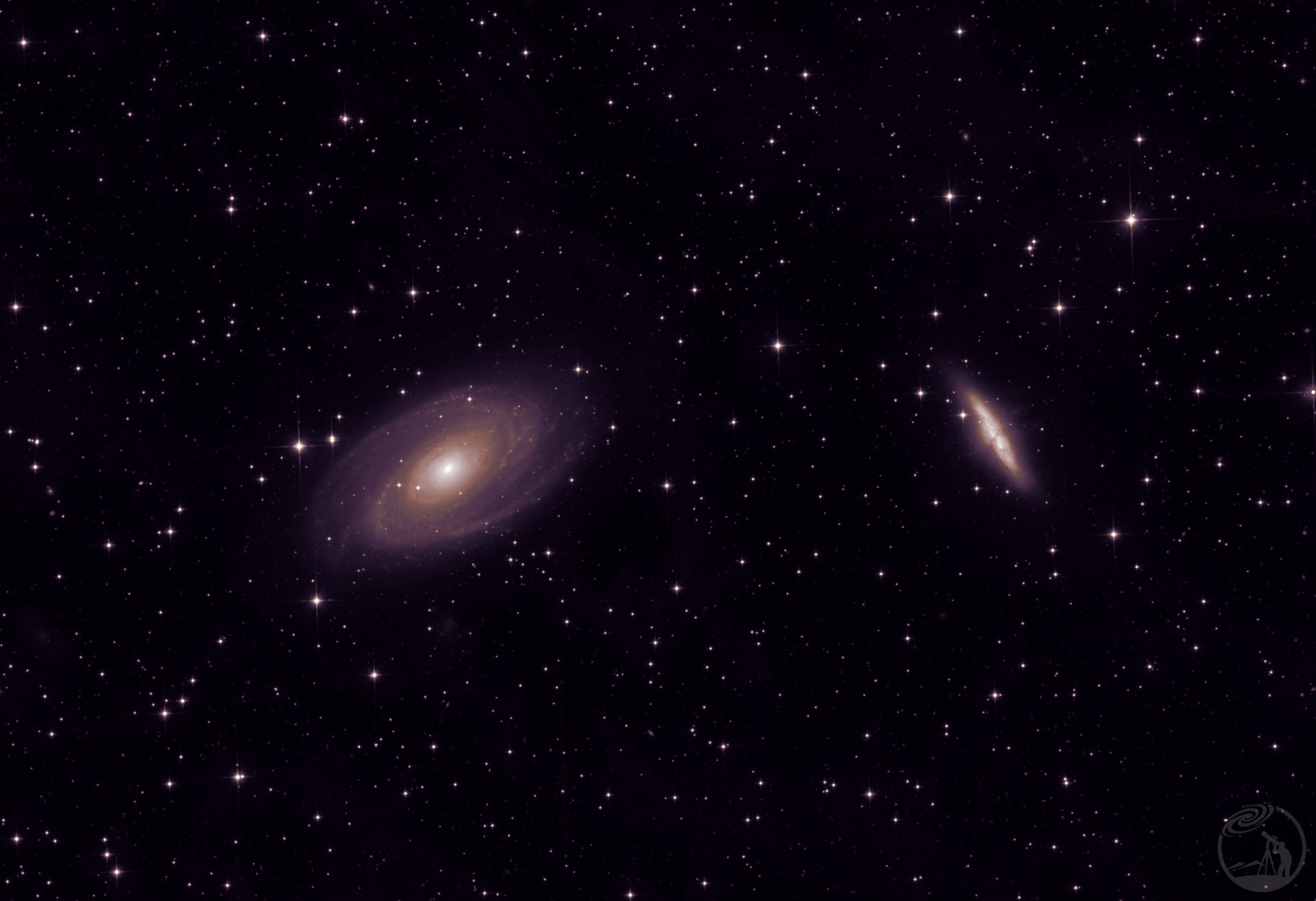 M81