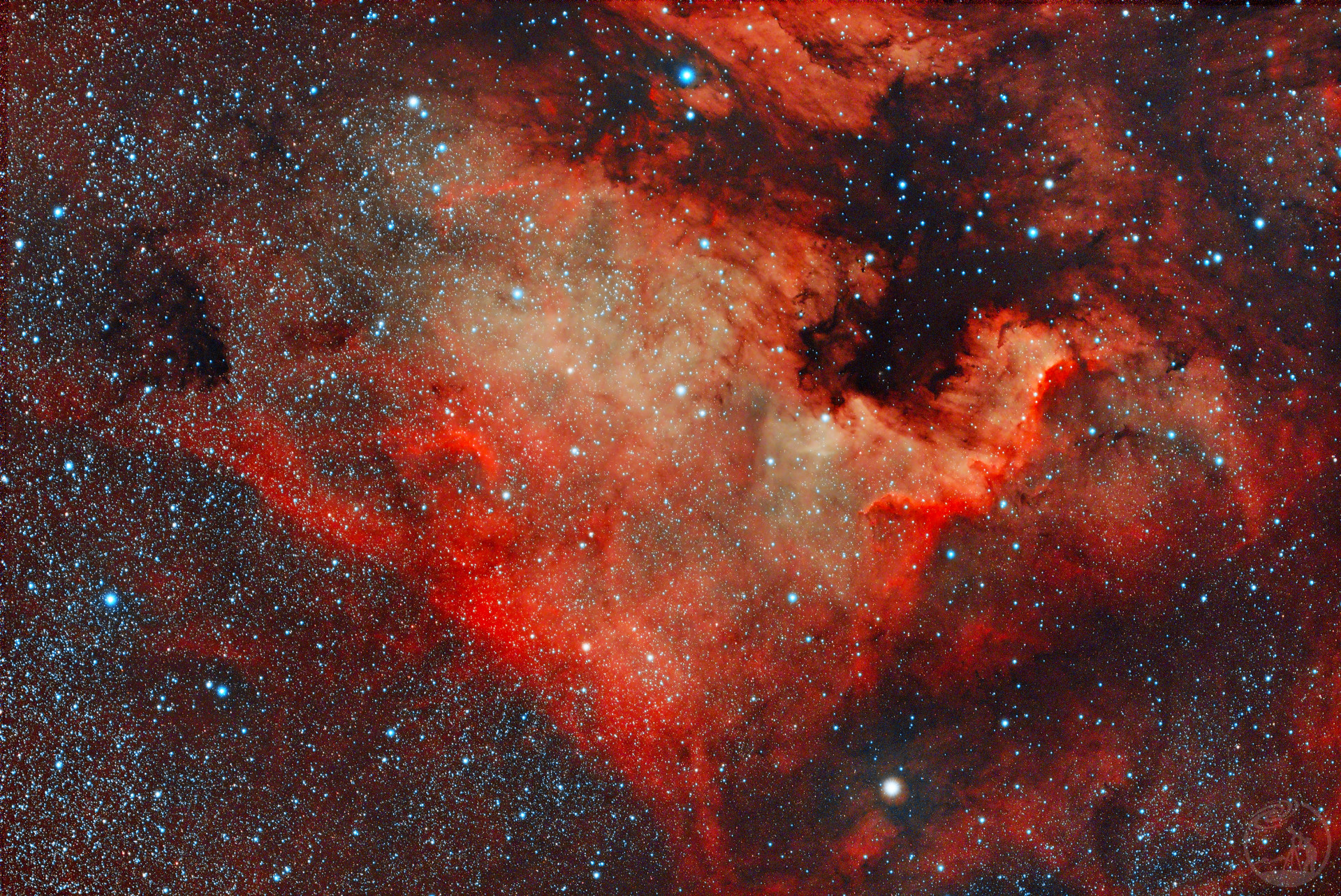 北美洲星云，NGC7000