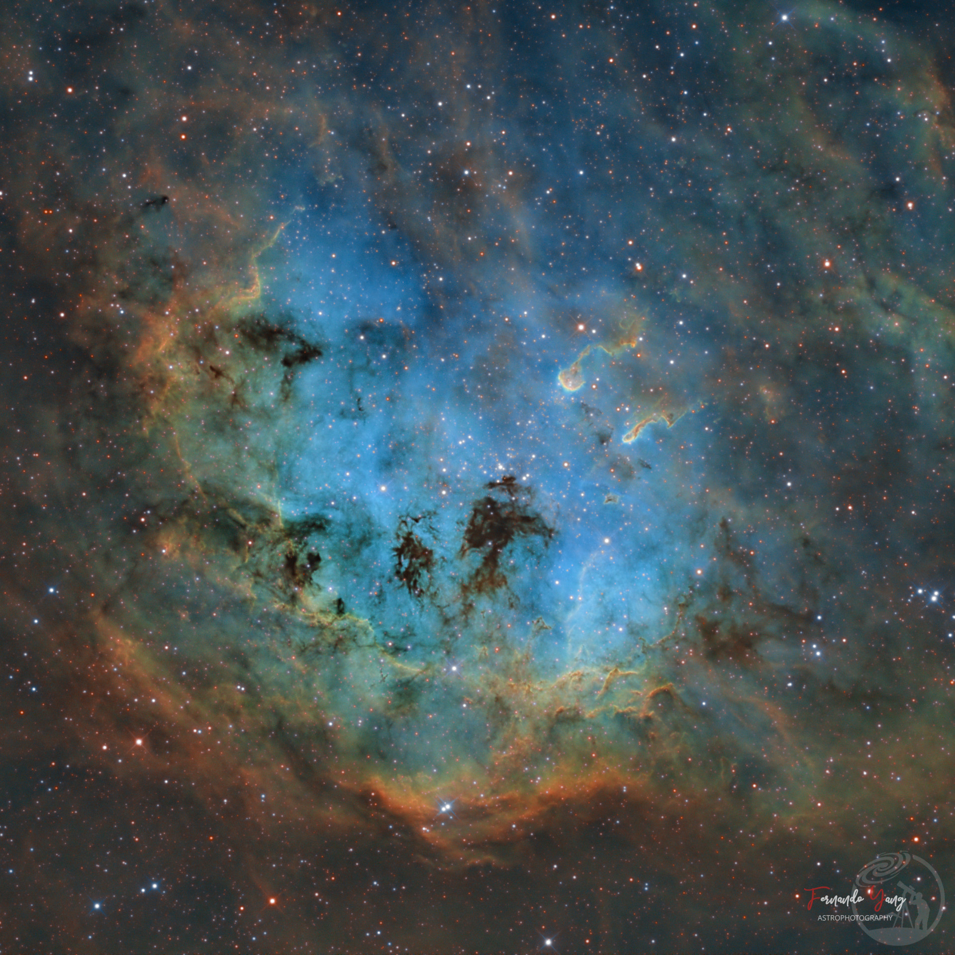 IC410 小蝌蚪星云