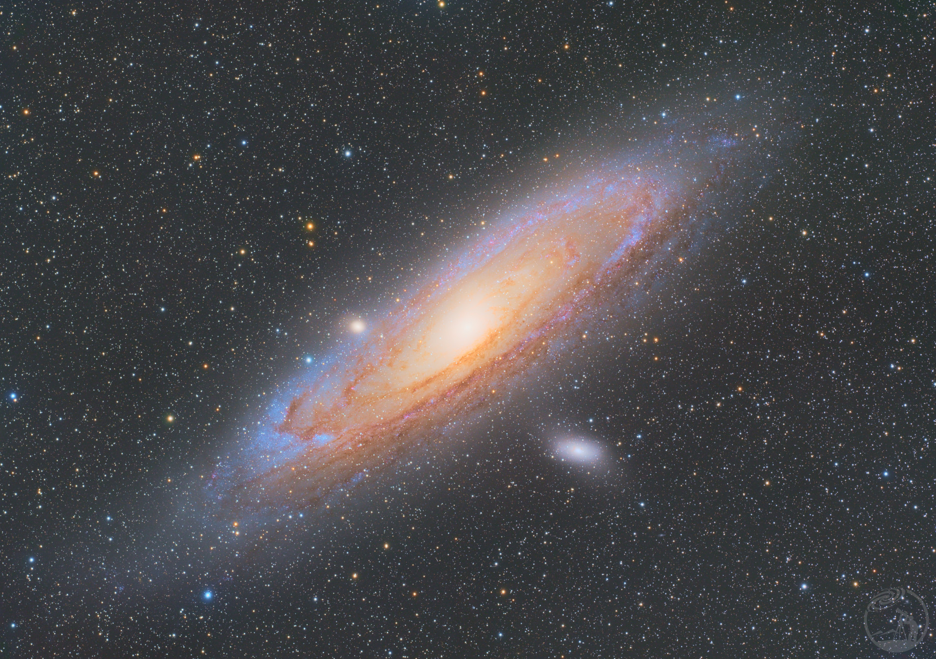 M31