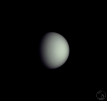 金星