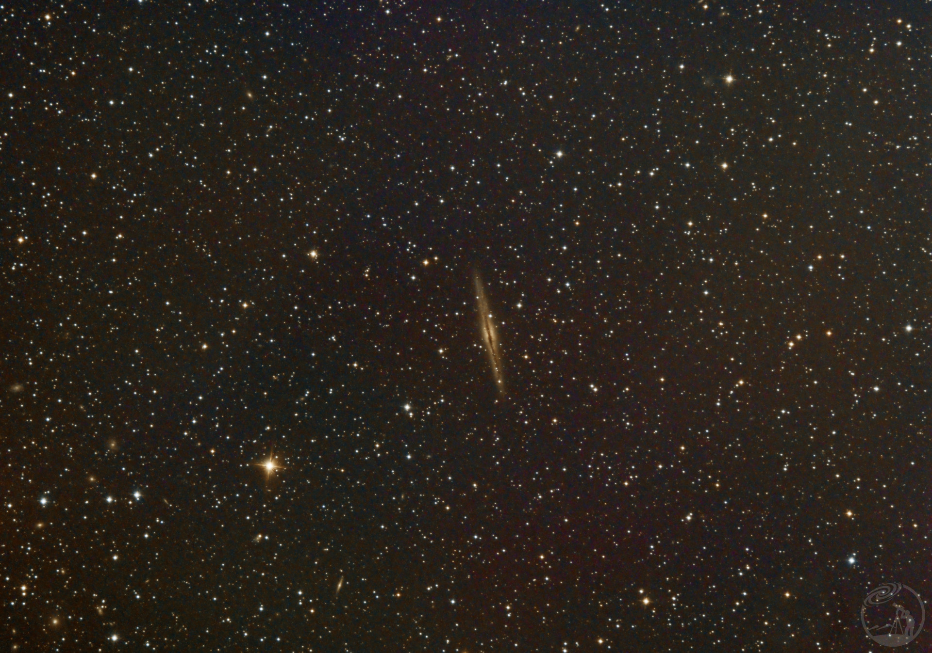 NGC891