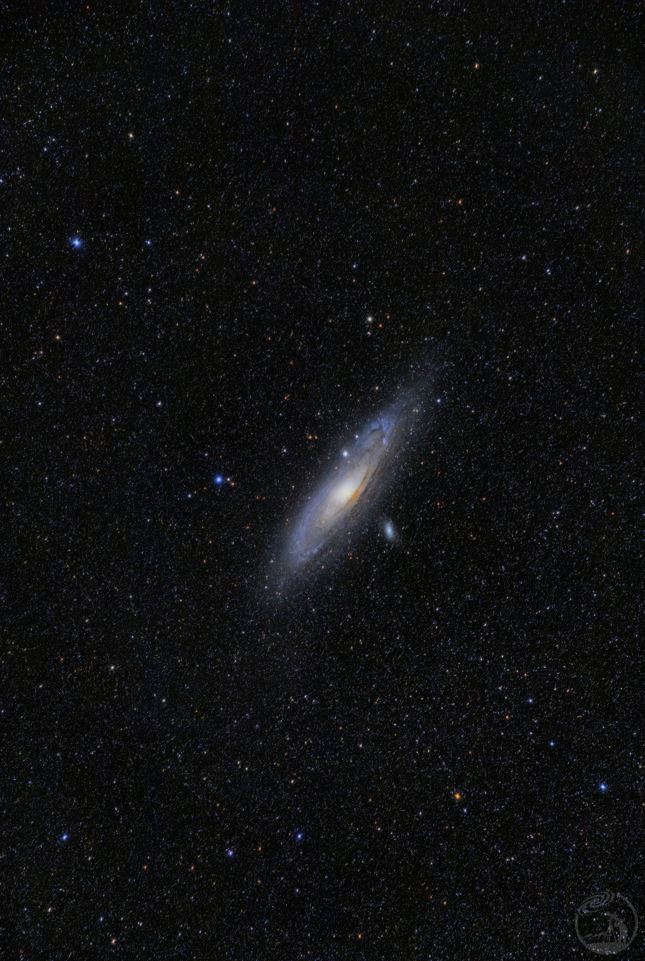 M31