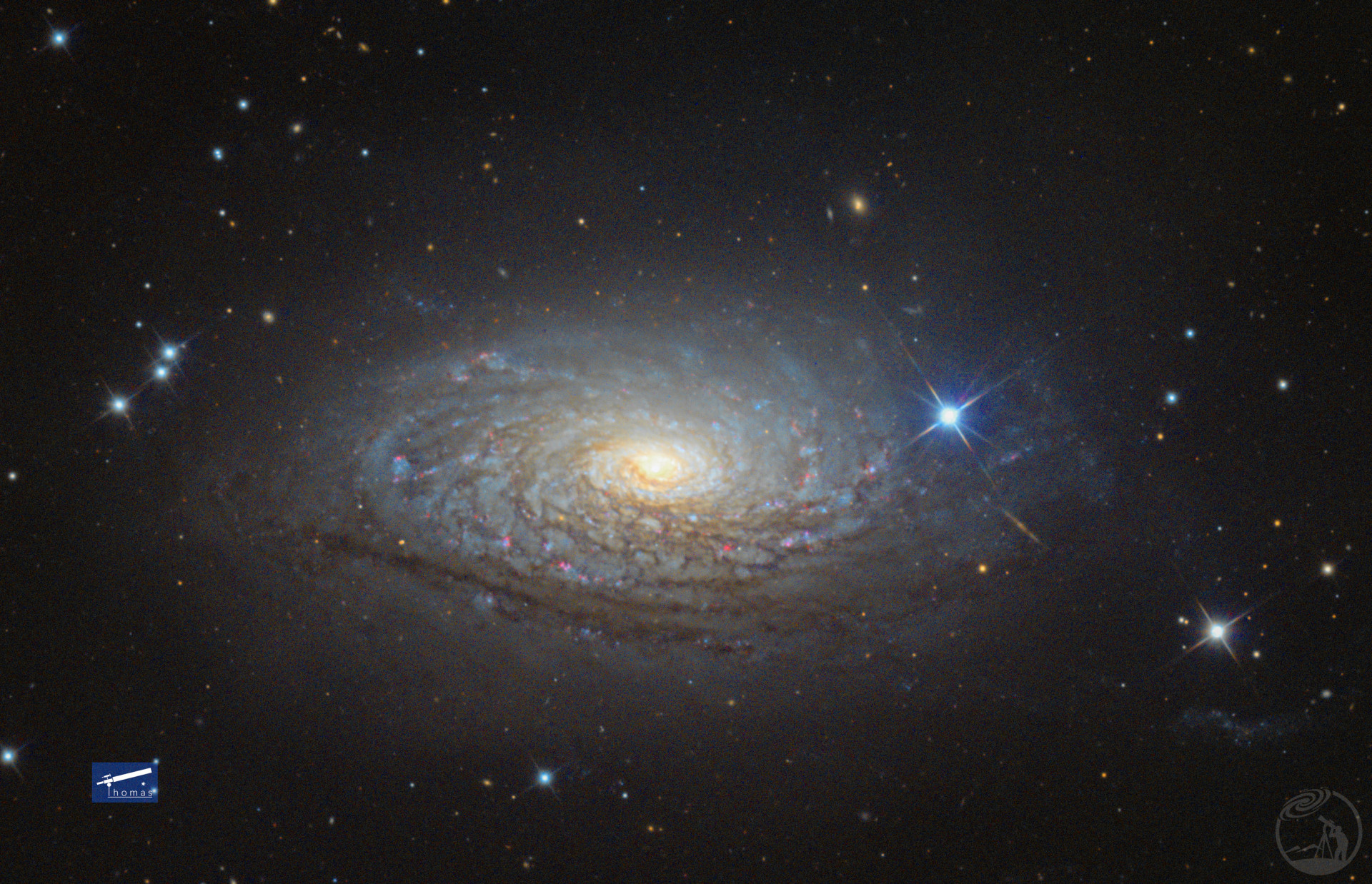 M63