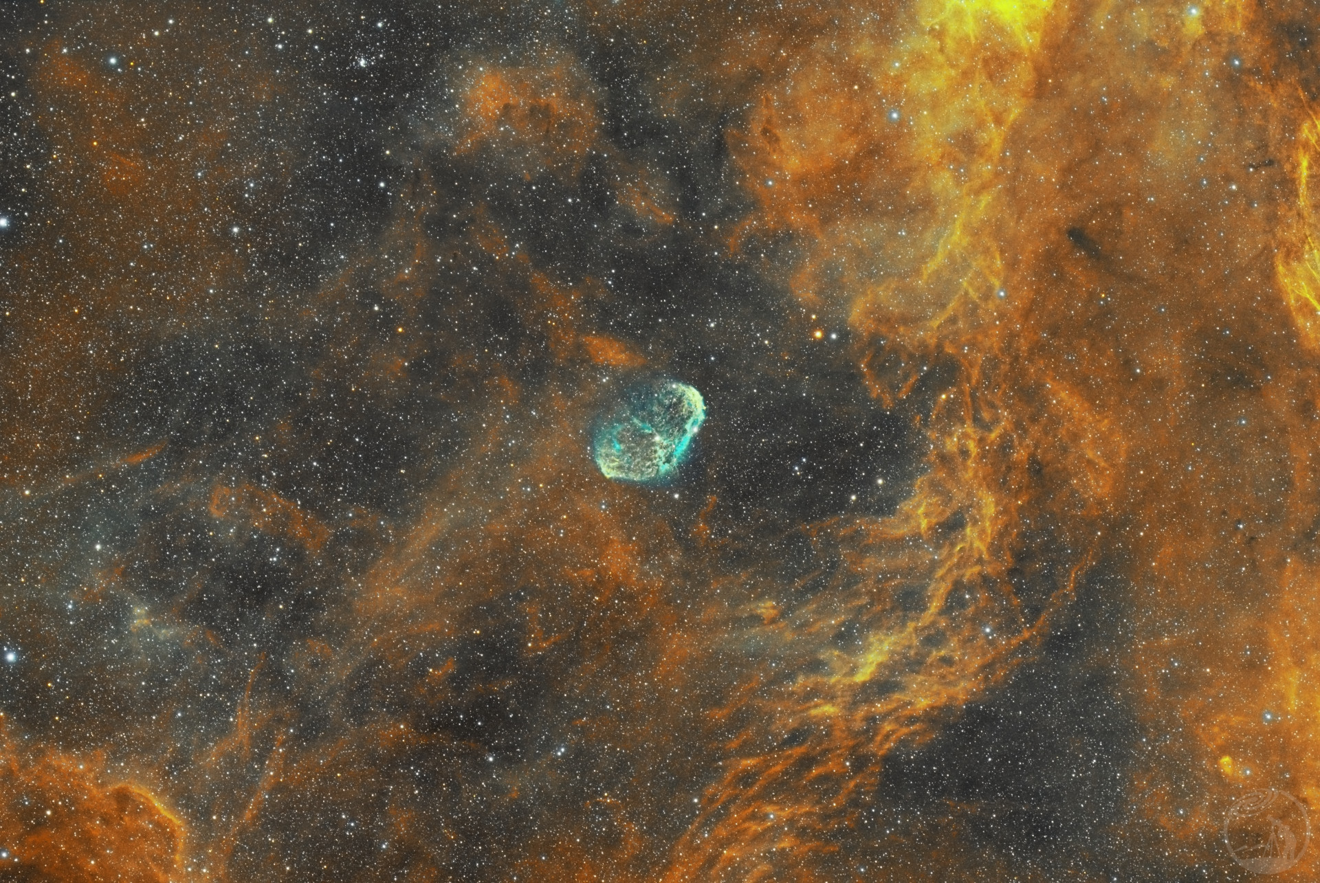 ngc6888土豪金和脑袋绿