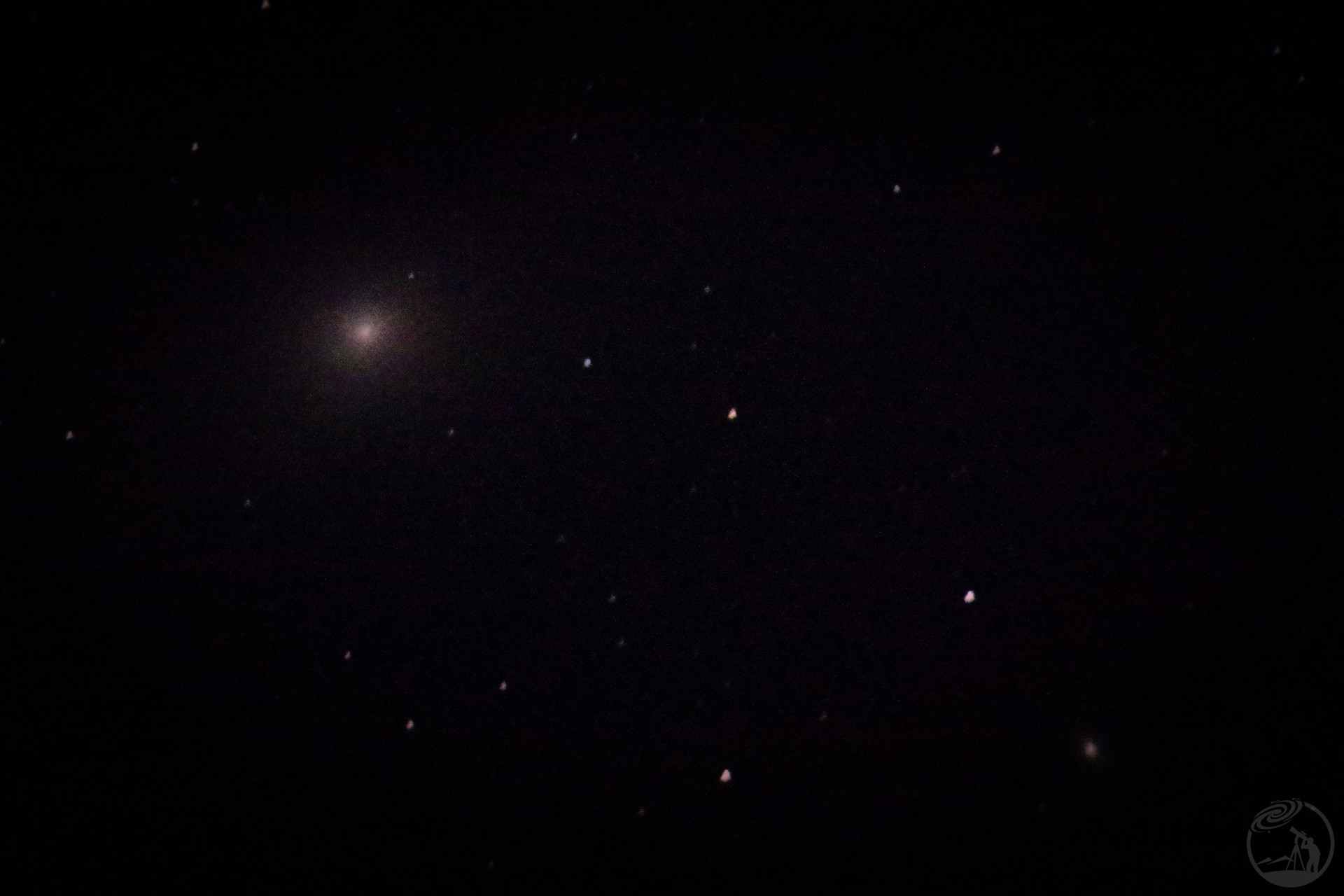 M31