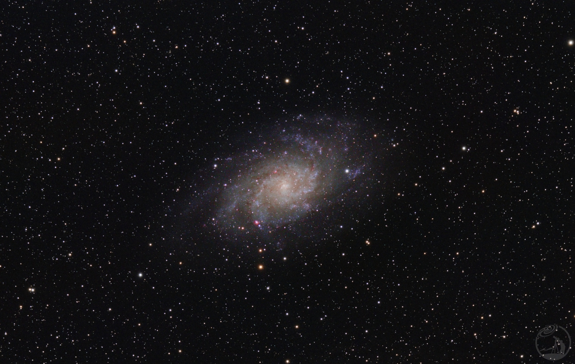 M33