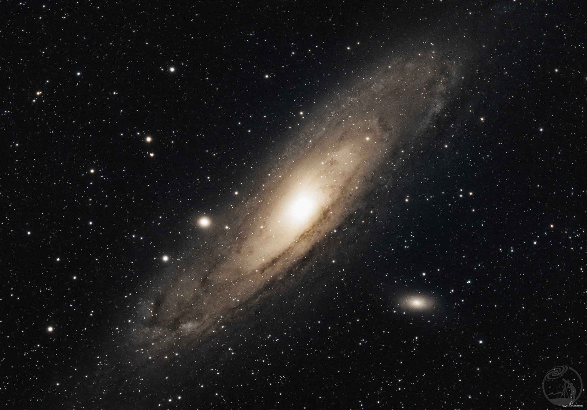 M31