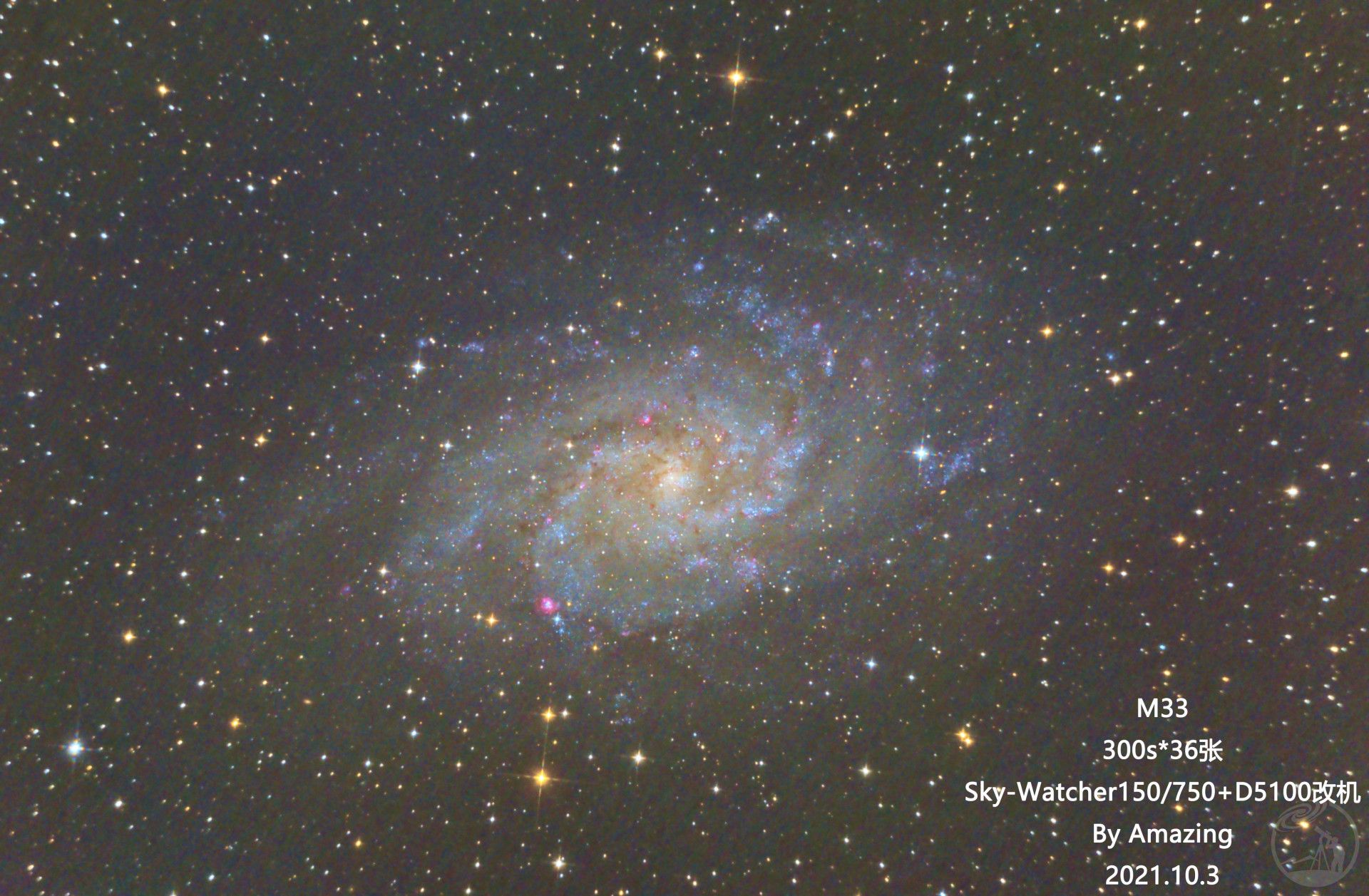 M33