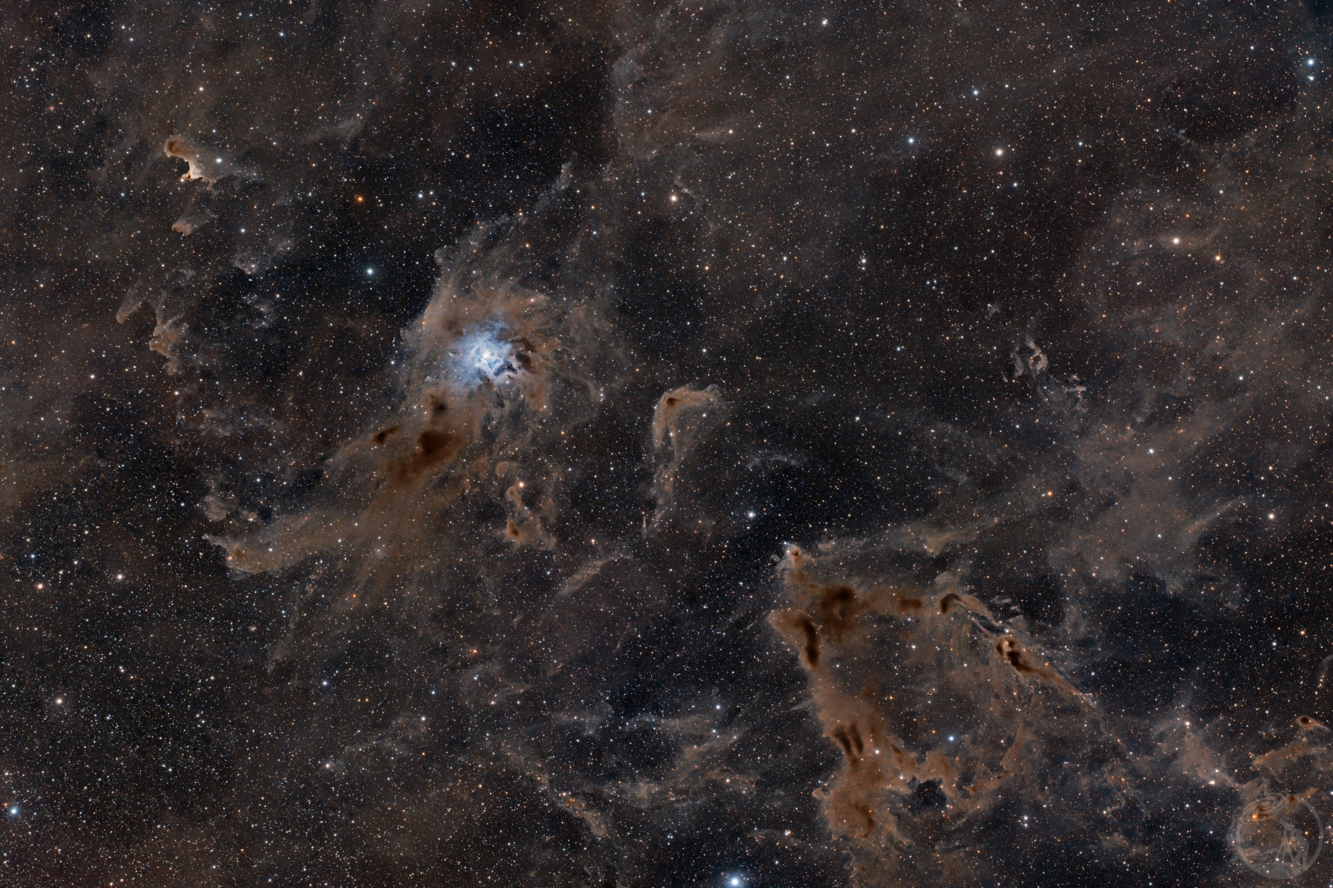 鸢尾花星云（NGC7023）广域